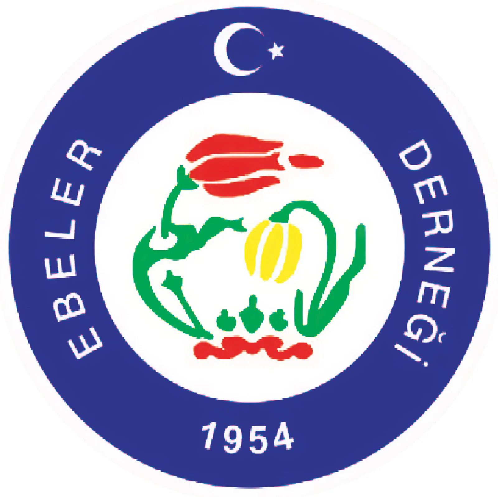 Türk Ebeler Derneği